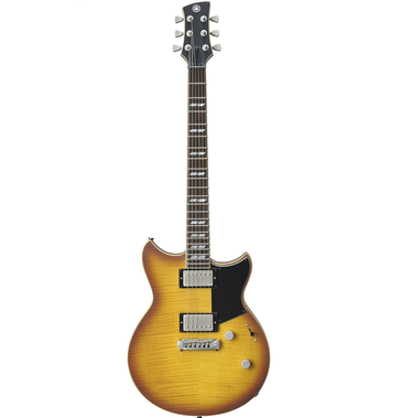 electric guitar RS620